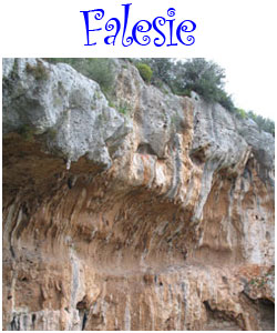 Falesie